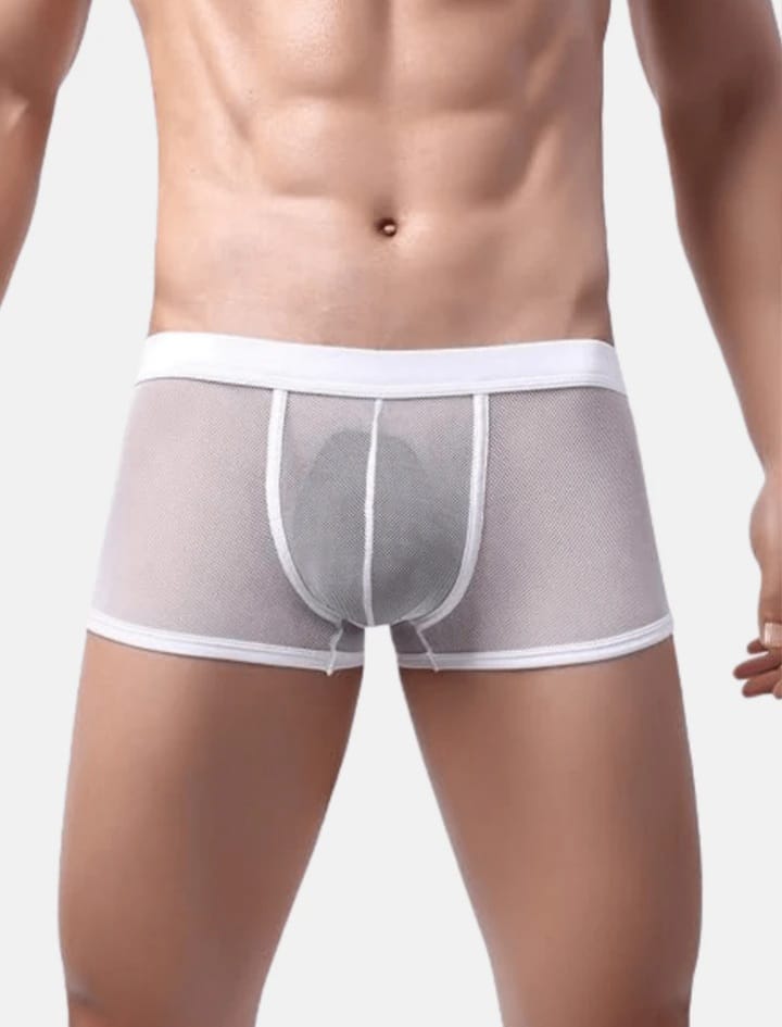 Frost Sheer Mesh Boxer Briefs
